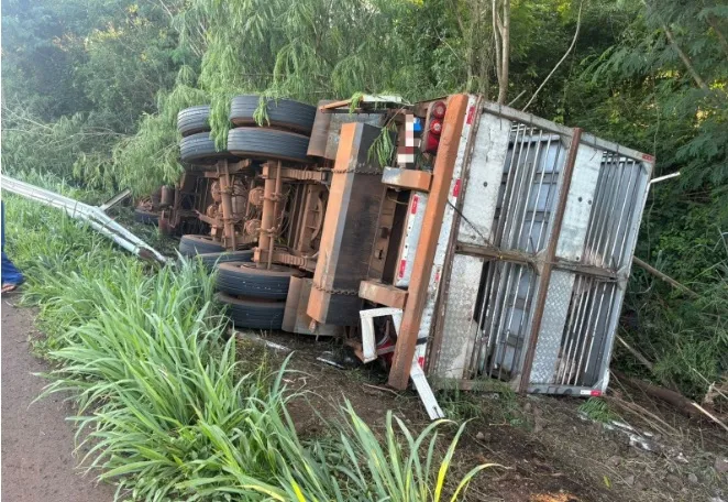 Carreta carregada com suíinos tomba entre Mercedes e Guaira