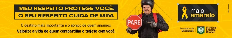 Cachorro na pista provoca capotamento de veiculo