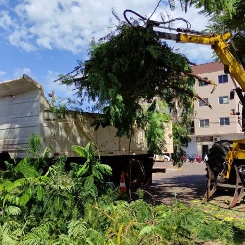 Recolha de galhos e entulhos será realizada no distrito de Porto Mendes a partir de segunda-feira