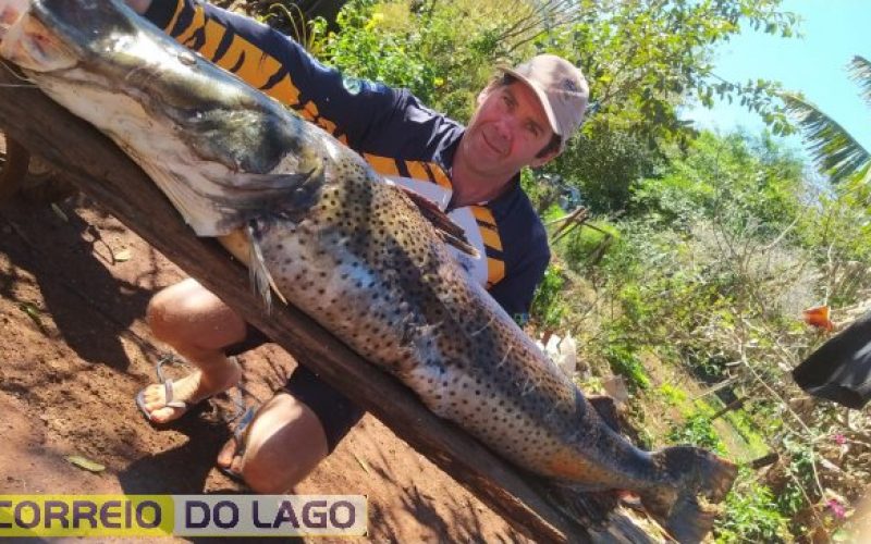 Pintado de 49 kg é capturado no Lago de Itaipu por pescador de Santa Helena e destaca importância da pesca sustentável