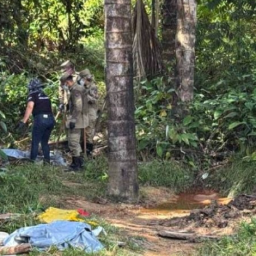 Jovens são mortos a marteladas; vítimas foram decapitadas e tiveram o coração arrancado