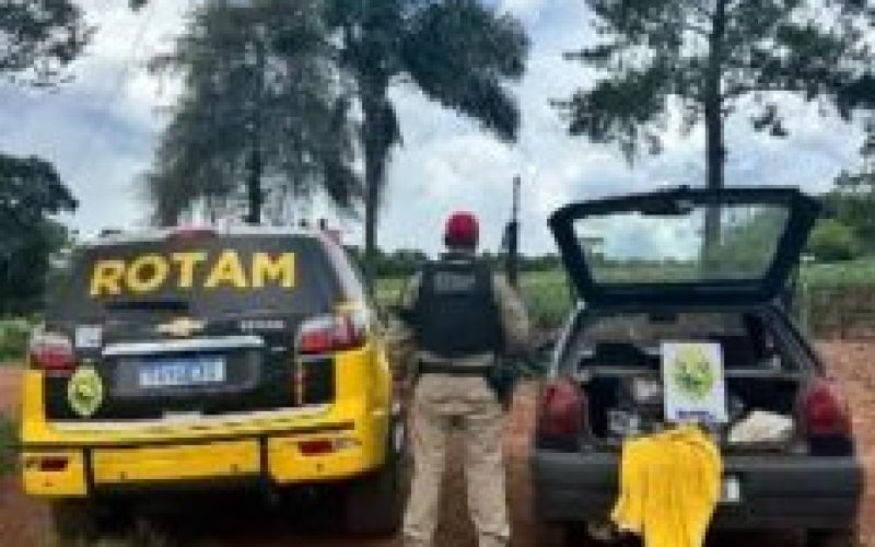 Dois são presos após perseguição pela PRE