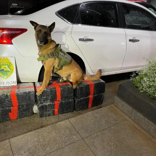 Após tentativa de abordagem em Mal Rondon, BPFron prende traficante em Vila Nova