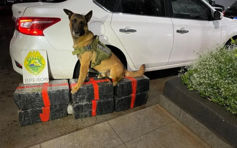 Após tentativa de abordagem em Mal Rondon, BPFron prende traficante em Vila Nova