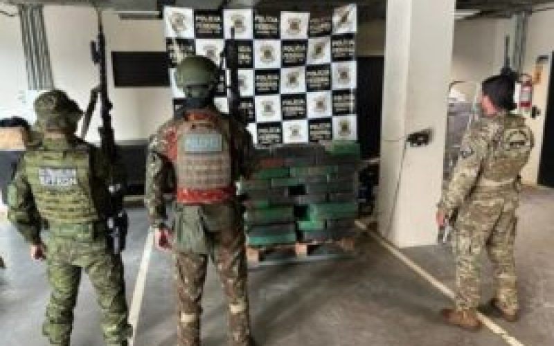 Policia apreende 658 quilos de maconha em Dr. Oliveira Castro