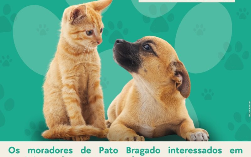 Secretaria de Agricultura, Pecuária e Meio Ambiente de Pato Bragado Lança Programa controle populacional de cães e gatos