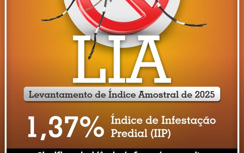 6º Levantamento de Índice Amostral de 2025 aponta índice de infestação do Aedes aegypti acima do recomendado em Quatro Pontes