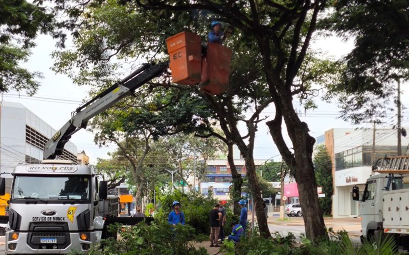 Secretaria de Infraestrutura realiza retirada de galhos na avenida Maripá para melhorar iluminação pública