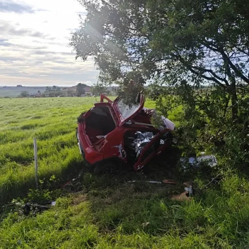 Choque contra árvore faz duas vitimas fatais