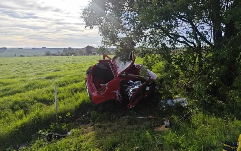 Choque contra árvore faz duas vitimas fatais