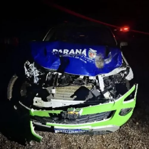 Animais na pista provocam acidente durante a madrugada