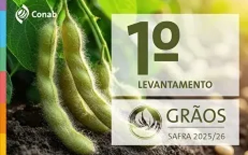CONAB divulga primeiro levantamento para a safra 2025/2026