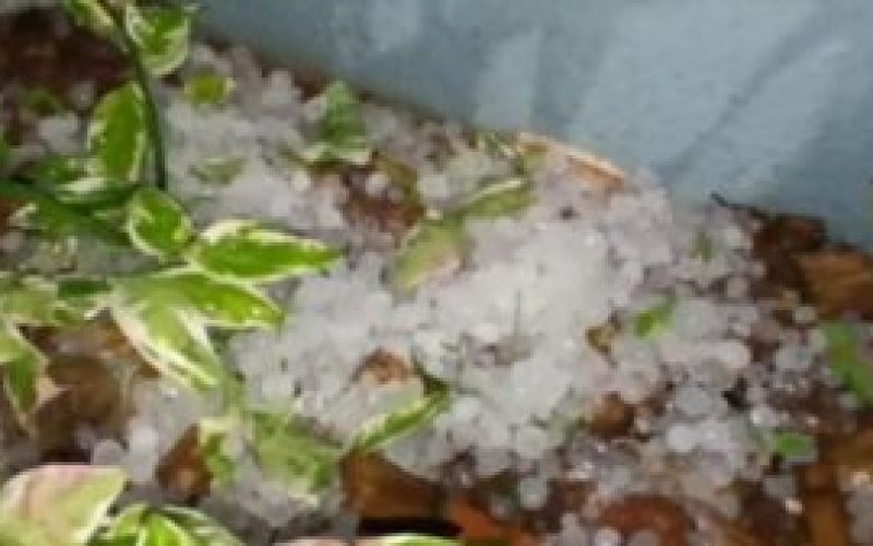 Chuva com granizo e vento forte atinge Assis Chateaubriand