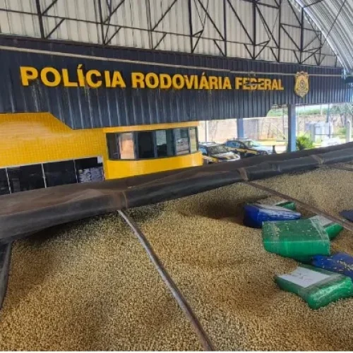 PRF apreende mais de 3 toneladas de maconha em carga de soja