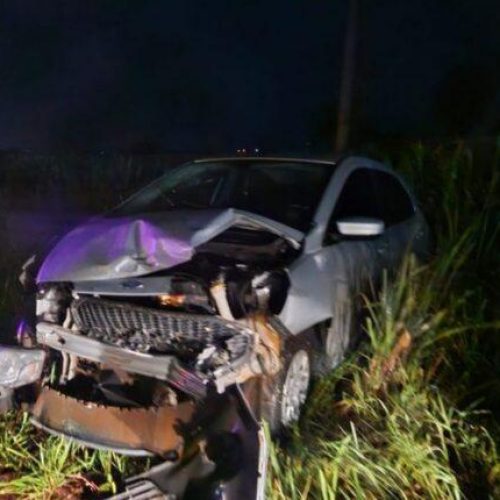 Foto: Portal Palotina