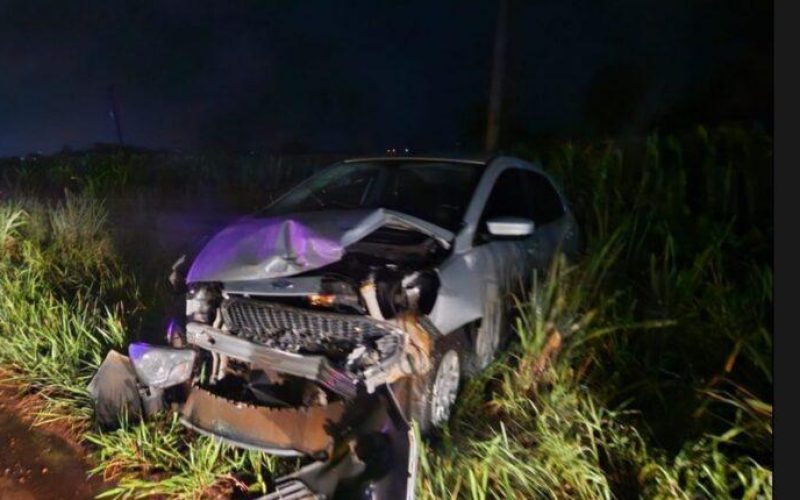 Foto: Portal Palotina