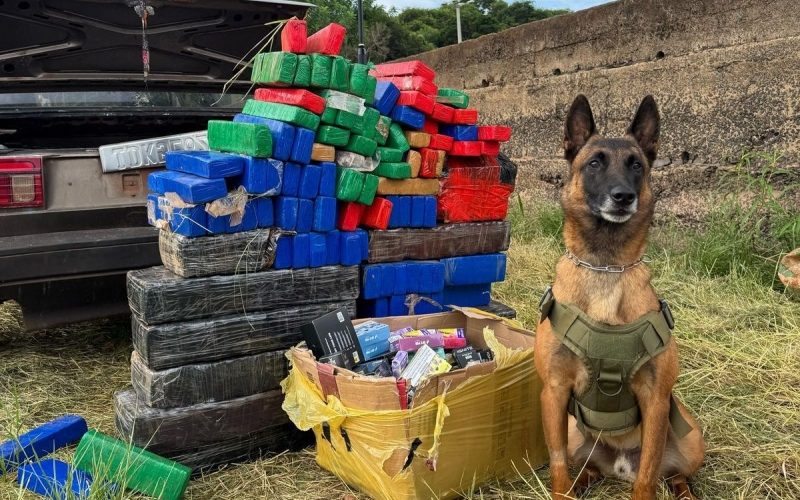 Trio é detido na prainha de Porto Mendes com 180 kg de maconha e cigarros eletrônicos