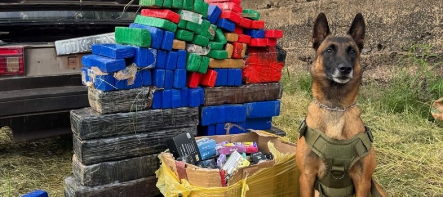 Trio é detido na prainha de Porto Mendes com 180 kg de maconha e cigarros eletrônicos