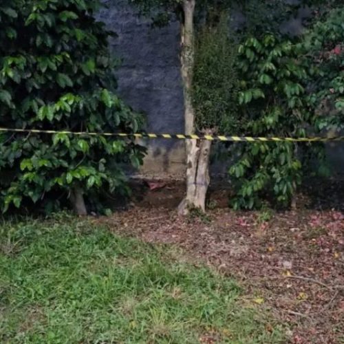 Jardineiro encontra roupinhas de bebê e feto enterrados em terreno