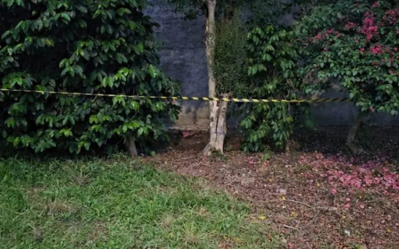Jardineiro encontra roupinhas de bebê e feto enterrados em terreno